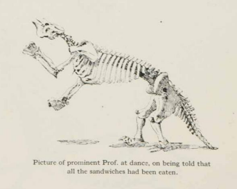 Sloth skeleton illustration